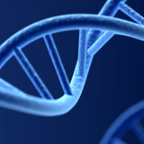 Summer School: The science, ethics and governance of genome editing